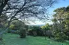 3 Grandview Avenue, Emerald, Vic 3782-Image