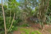 3 Greenbank Drive, Windsor Gardens, SA 5087-Image