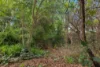 3 Greenbank Drive, Windsor Gardens, SA 5087-Image