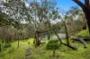 3 Hakea Court, Coromandel Valley SA 5051-Image