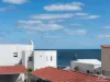 3 Hamersley Street, Cottesloe, WA 6011-Image