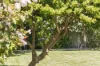 3 Hickman Road, Silver Sands, WA 6210-Image