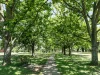 3 Howe Crescent, Ainslie, ACT 2602-Image