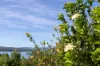 3 Inlet View Court, Mallacoota, Vic 3892-Image