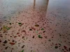 3 Italian Club Road, Coober Pedy, SA 5723-Image