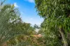 3 Jacaranda Drive, Torquay, Qld 4655-Image