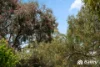 3 Janlyn Road, Vista, SA 5091-Image