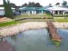 3 Jefferson Court, Wellington East, SA 5259-Image