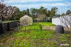 3 John Street, Rosebery, Tas 7470-Image