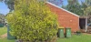 3 Juillerat St, Yarraman, Qld 4614-Image