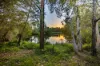 3 Karri Court, Mapleton, Qld 4560-Image