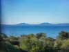 3 Kennedia Place, Swansea, Tas 7190