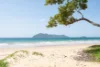 3 Keough Street, Wongaling Beach, Qld 4852-Image