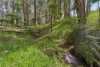 3 Kings Road, Dwellingup, WA 6213-Image