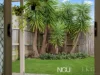 3 Kookaburra Place, Deebing Heights, Qld 4306-Image