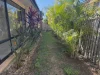 3 Kudzu Street, Upper Coomera, Qld 4209-Image