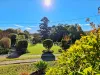 3 Kurrajong Street, Killarney, Qld 4373-Image