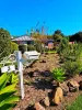 3 Kurrajong Street, Killarney, Qld 4373-Image