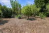 3 Lansdowne Road, Traralgon, Vic 3844-Image