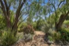 3 Lansdowne Road, Traralgon, Vic 3844-Image