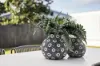 3 Lido Circuit, Warner, Qld 4500-Image