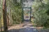 3 Lorikeet Street, Wodonga, Vic 3690-Image