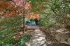 3 Lorikeet Street, Wodonga, Vic 3690-Image