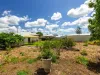 3 Luther Street, Svensson Heights, Qld 4670-Image