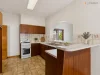 3 Lynne Court, Marion, SA 5043-Image