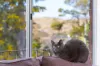 3 Makina Place, Cooma, NSW 2630-Image