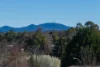 3 Mark Place, Orange, NSW 2800-Image