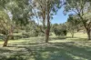 3 Matthew Smillie Drive, Nairne, SA 5252-Image