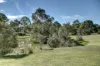 3 Matthew Smillie Drive, Nairne, SA 5252-Image