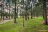 3 Mckail Crescent, Stirling, ACT 2611-Image