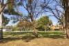 3 Michelle Street, Grange, SA 5022-Image