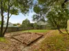 3 Monds Street, Newstead, Tas 7250-Image