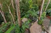 3 Mountain Ridge Crescent, Buderim, Qld 4556-Image