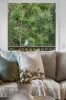 3 Mountain Ridge Crescent, Buderim, Qld 4556-Image