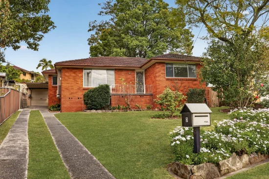 3 Namoi Place, Toongabbie, NSW 2146