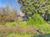 3 Napier Street,, Maryborough, Vic 3465-Image