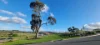 3 Neagle Avenue, Mount Barker, SA 5251-Image