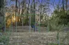 3 Nerang Court, Kennington, Vic 3550-Image