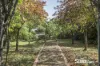 3 Nile Road, Evandale, Tas 7212-Image