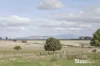 3 Nile Road, Evandale, Tas 7212-Image