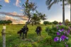 3 Nimbus Drive, Flaxton, Qld 4560-Image