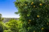 3 Pagottos Ridge Road, North Lismore, NSW 2480-Image