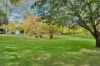3 Park Street, Camden, NSW 2570-Image