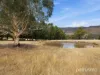 3 Pegasus Drive, Dromedary, Tas 7030-Image