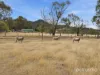 3 Pegasus Drive, Dromedary, Tas 7030-Image