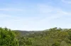 3 Penny Place, Ourimbah, NSW 2258-Image